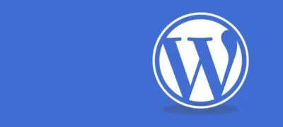 Wordpress is good for professional websites